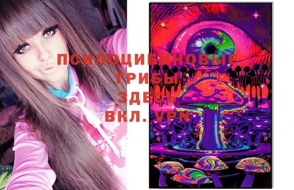 МДПВ Куйбышев