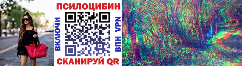 Купить где  Нытва  Галлюциногенные грибы Magic Shrooms 